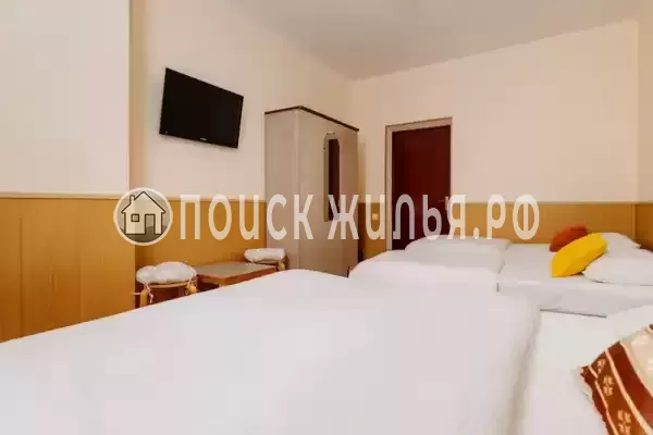 «Дельфин Парк»