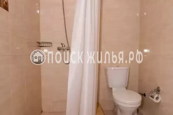 «Мангостин»