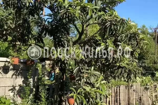 Гостевой дом «Маяк»