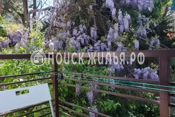 «Аир» «Аир»