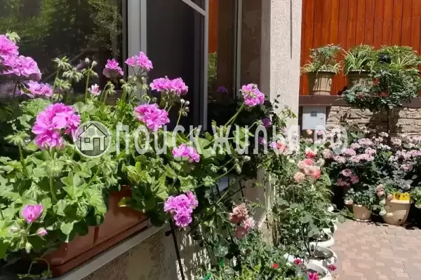 «Розмарин»