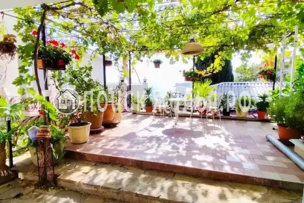 «Скальный»