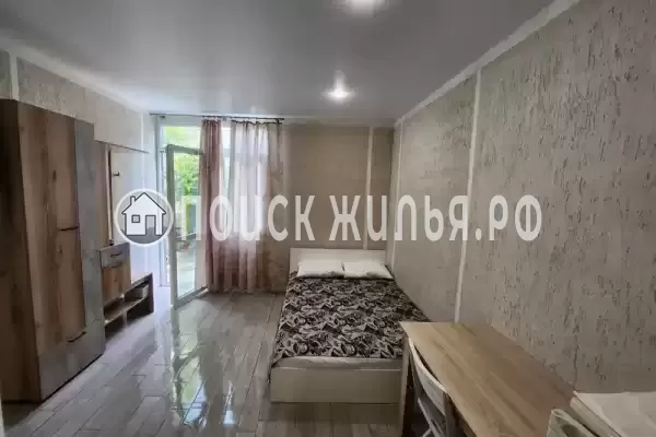 «Виноградная лоза»