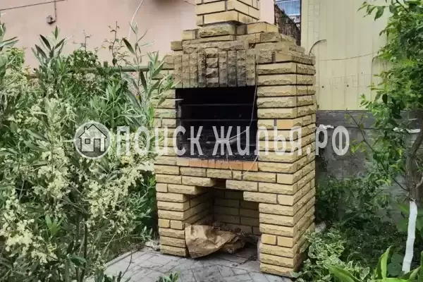 «Виноградная лоза»