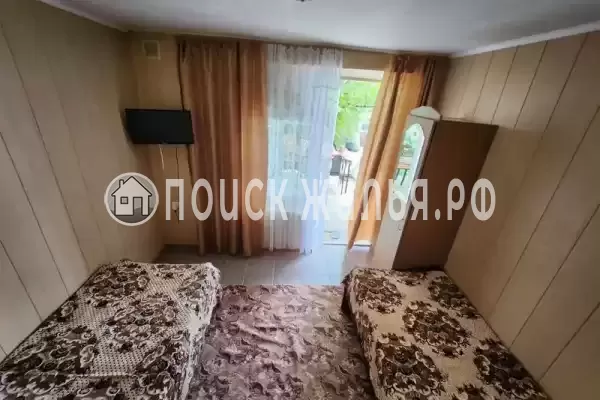 «Виноградная лоза»