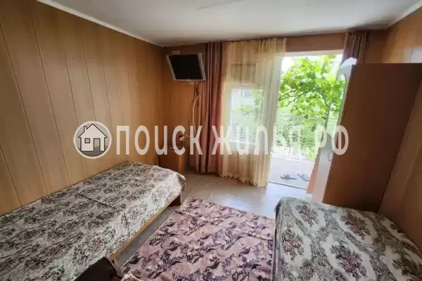 «Виноградная лоза»