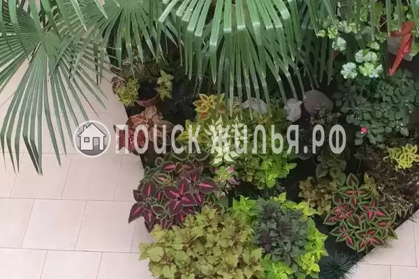 «У Ирины на Калараш»