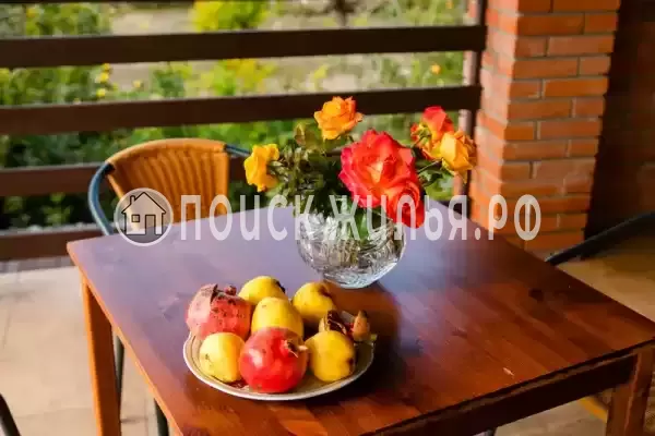 «Подсолнух» «Подсолнух»