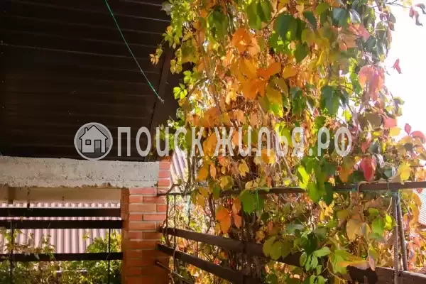 «Подсолнух» «Подсолнух»