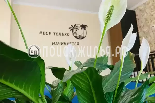 «Арт Берег»