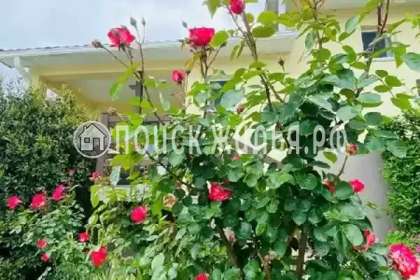 «Арт Берег»