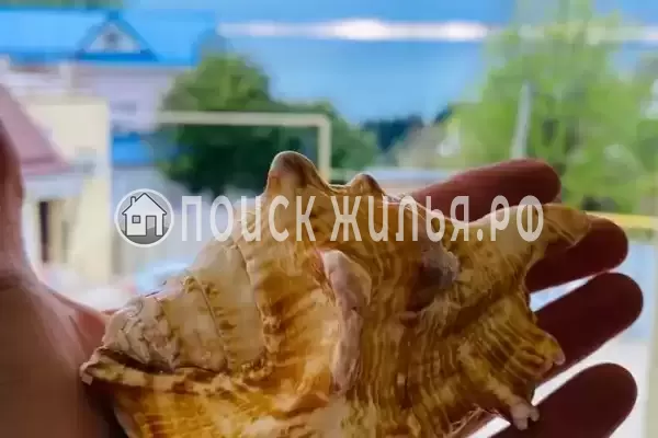 «Арт Берег»