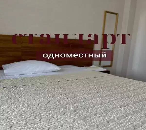 Отель «Assir» Отель «Assir»