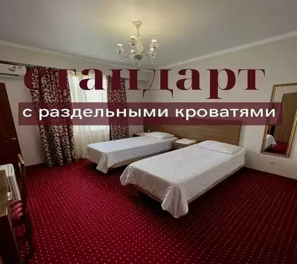 Отель «Assir» Отель «Assir»