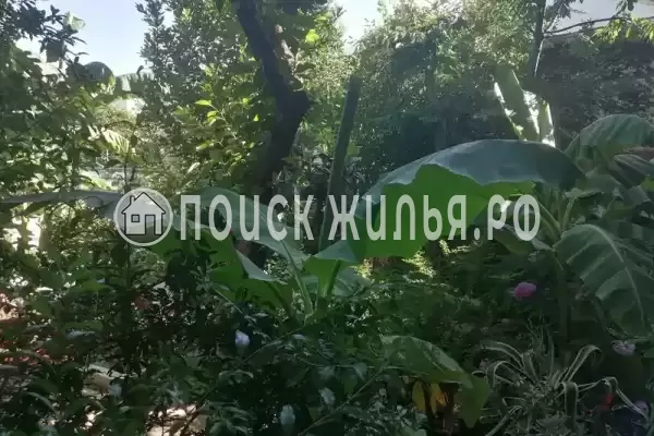 Частный сектор «Дом с садом»