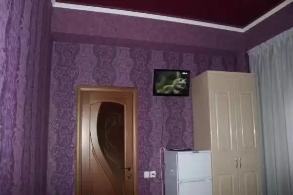 Гостевой дом «Эмили» Гостевой дом «Эмили»
