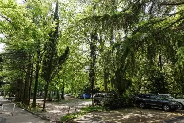 Квартира «В центре адлера» Квартира «В центре адлера»