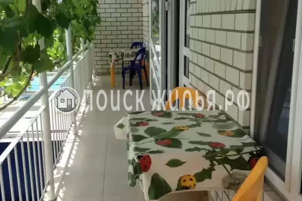 «Фортуна» «Фортуна»