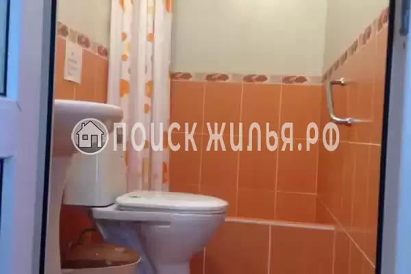 «Фортуна» «Фортуна»