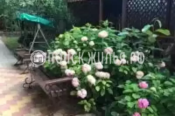 «Светлана»