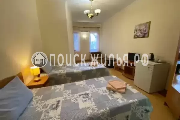 «Виноградная лоза» «Виноградная лоза»