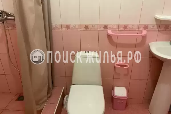 «Виноградная лоза» «Виноградная лоза»