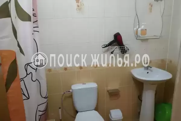 «Виноградная лоза» «Виноградная лоза»