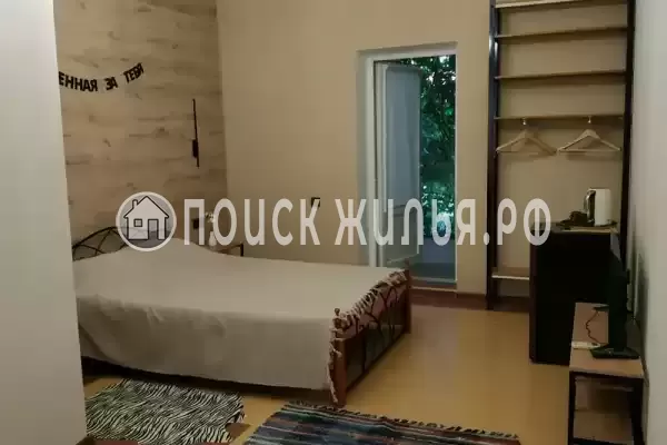 «Виноградная лоза» «Виноградная лоза»