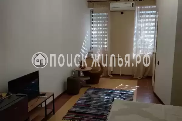 «Виноградная лоза» «Виноградная лоза»