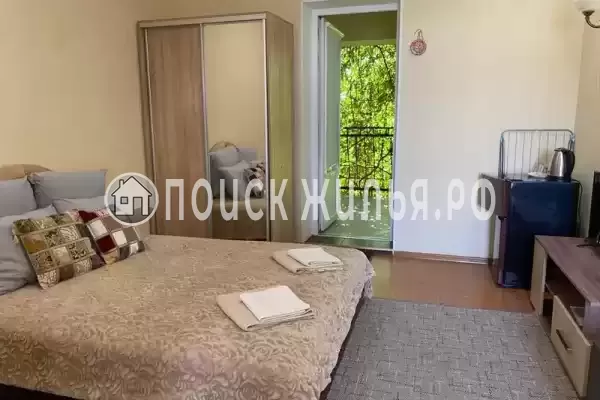 «Виноградная лоза» «Виноградная лоза»