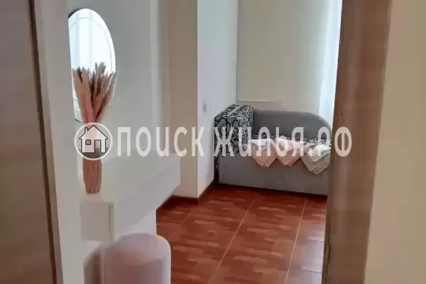 «Виноградная лоза» «Виноградная лоза»