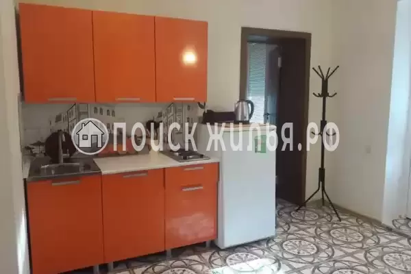 «Виноградная лоза» «Виноградная лоза»