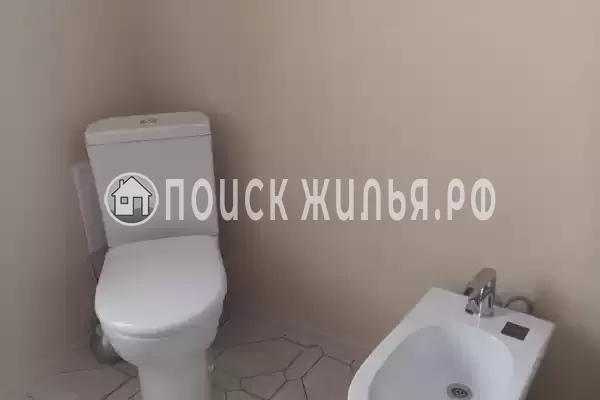 «Виноградная лоза» «Виноградная лоза»