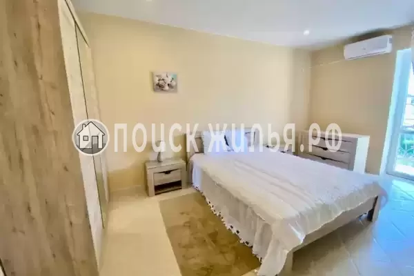 «Виноградная лоза» «Виноградная лоза»