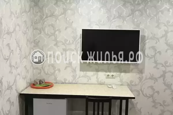 «Василек» «Василек»