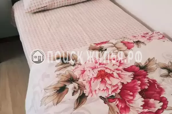 Гостевой дом «Фиалка» Гостевой дом «Фиалка»