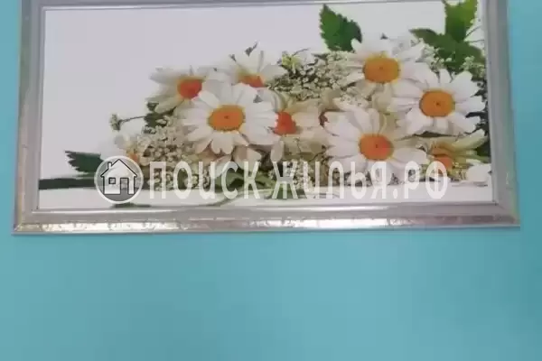 Гостевой дом «Фиалка» Гостевой дом «Фиалка»