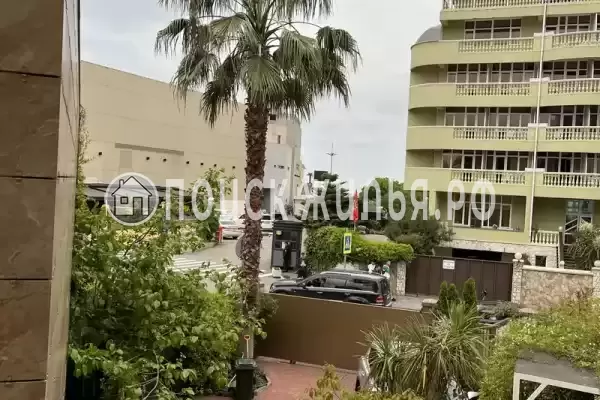 «Sun Trope» «Sun Trope»