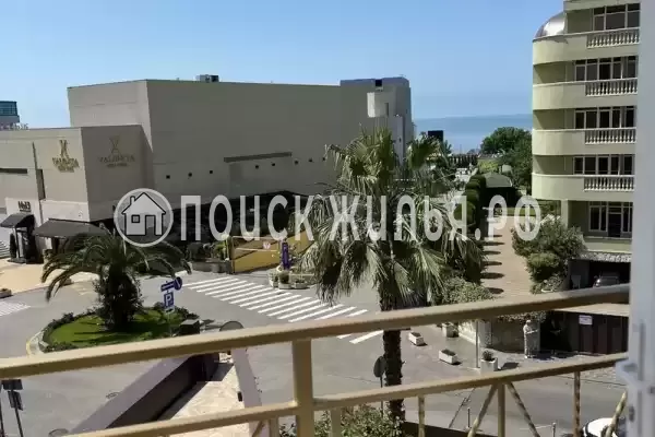 «Sun Trope» «Sun Trope»