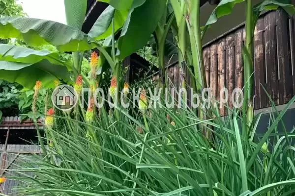 «У Алексея в Аше» «У Алексея в Аше»