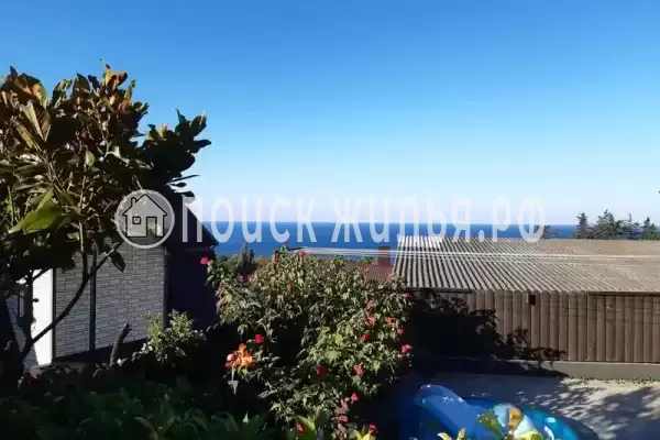 «У Алексея в Аше» «У Алексея в Аше»