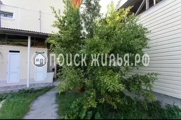 «Три карата»