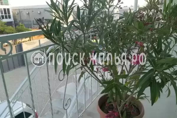 Гостевой дом «Оазис Судак»