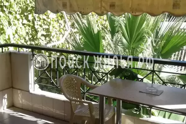 «София» «София»