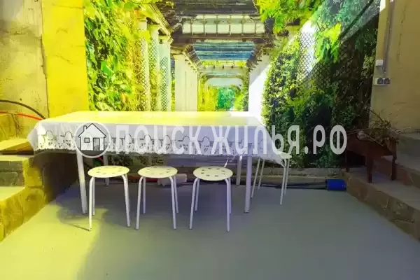 «Мечта» «Мечта»