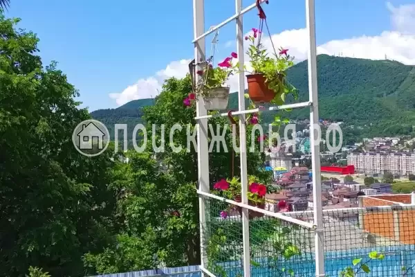 «Мечта» «Мечта»