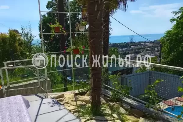 «Мечта» «Мечта»