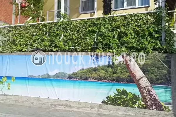 «Мечта» «Мечта»