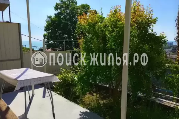 «Мечта» «Мечта»