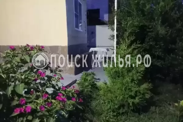 «Мечта» «Мечта»